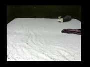 Аппетитная