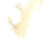 любительский секс