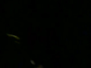 Секс в кабинке туалета ночного клуба