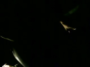 Секс в кабинке туалета ночного клуба