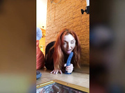 Red_fox (michelle_h)