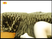 KiraBestGirl show(no sound)