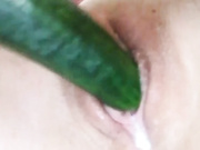 Gabibc
