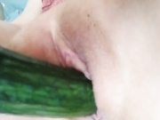 Gabibc