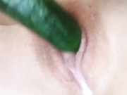 Gabibc