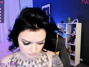 pantera_flash