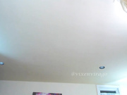 Vixenviragos