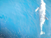 Екатерина Скаредина (KatyaClover)