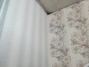 miniature1