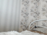 miniature1