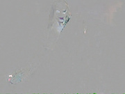 viktori77