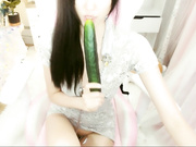 8248 Chinamodel
