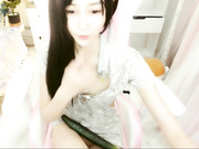 8248 Chinamodel