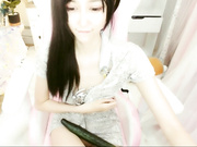 8248 Chinamodel