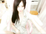 8248 Chinamodel