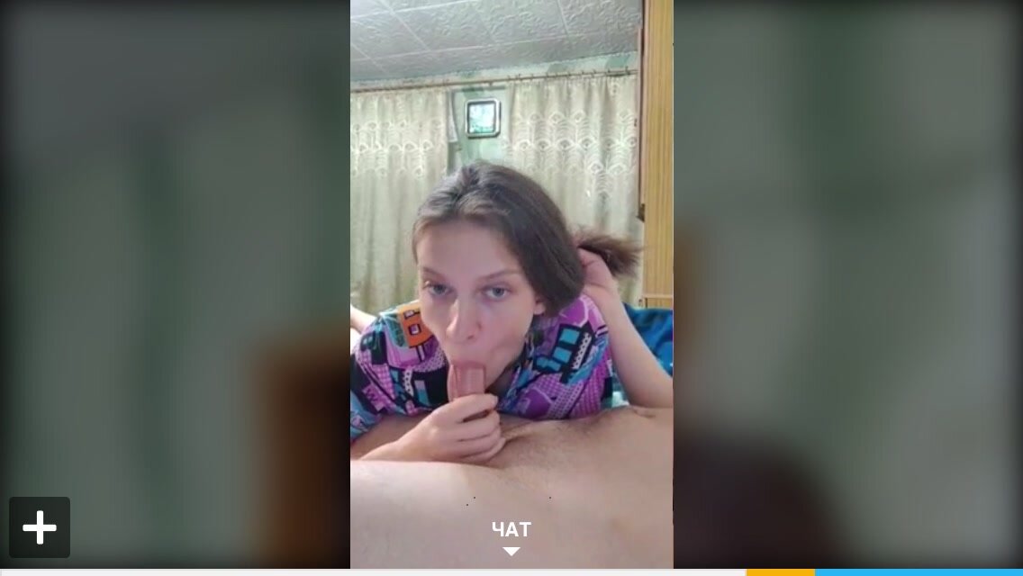 GekkoNchekk