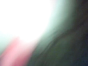 rosa3