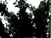 Sweetladuboom