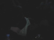 GAVKA_