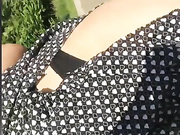 Amallllia