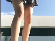Amallllia