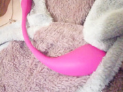 Polly40