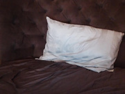 SexySabotage ohmibod