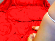 DivineDasha