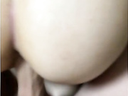 SeXsI-hom