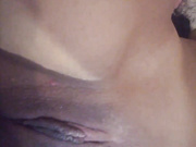 Miyamurrr