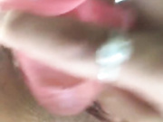 Amallllia