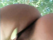 Amallllia