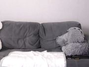 Evelina_fox