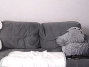 Evelina_fox