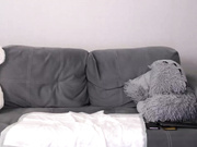 Evelina_fox
