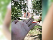 Amallllia 2021-07-16