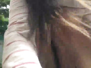 Amallllia