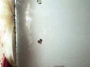 Eronicaa