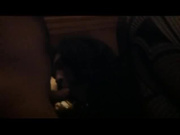 Худышка Ленка и компашка