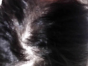 Секретарша сосет в туалете офиса. Сперма в рот