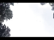 alexlesley жаркая порка в снегу