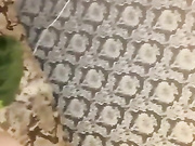 LuciferLilita