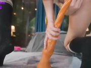 mashayang