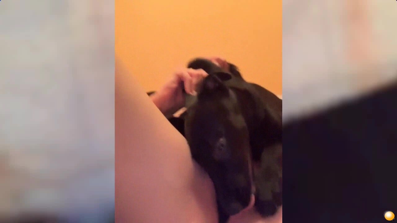 Sweet-Roxy со своим другом