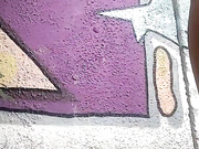 Amallllia