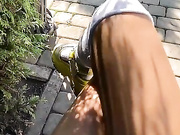 Amallllia