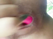 Amallllia