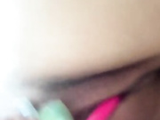 Amallllia