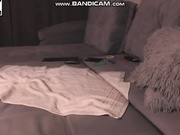 Evelina_fox