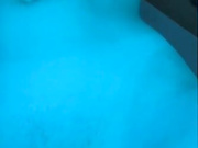 Kamillaa
